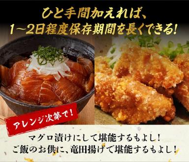 漁協直送！キハダマグロブロック（生）1kg【魚介類 鮮魚 鮪 刺身 漬け 新鮮 冷蔵 魚 海の幸】