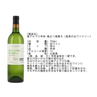 ふるさと納税 南アルプス市 サントリー登美の丘ワイナリー ワインのみらい 南アルプス甲州風立つ畑育ち |  | 01