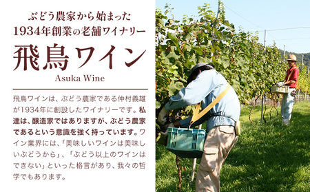 白ワイン 飛鳥シリーズ ソーヴィニヨン・ブラン ＆ リースリング セット 720ml × 2本 (株)飛鳥ワイン《30日以内に出荷予定(土日祝除く)》大阪府 羽曳野市 飛鳥ワイン 飛鳥シリーズ アルコ