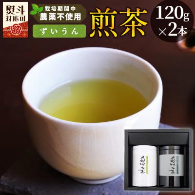ふるさと納税 東白川村 栽培期間中 農薬不使用! 煎茶 ギフト NO.13 (ずいうん 120g×2本) 常磐園 日本茶