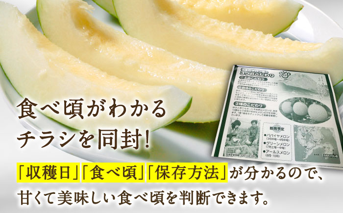 【2025年3月中旬~発送】【平成新山メロンPREMIUM（とみちゃん厳選）】パパイヤメロン 3個 / メロン 南島原市 / うえだメロン園 [SAD001]