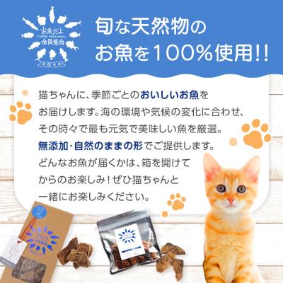ふるさと納税 川崎市 お魚だよ全員集合　季節のアソートセット 3,000円セット　ネコちゃん用 |  | 01