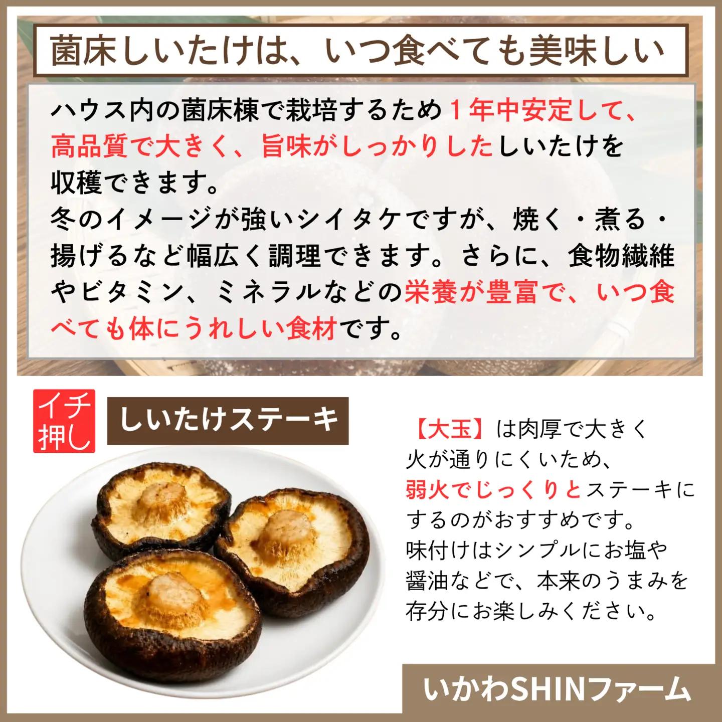 生しいたけ 厳選大玉 4個  菌床 しいたけ シイタケ 高級