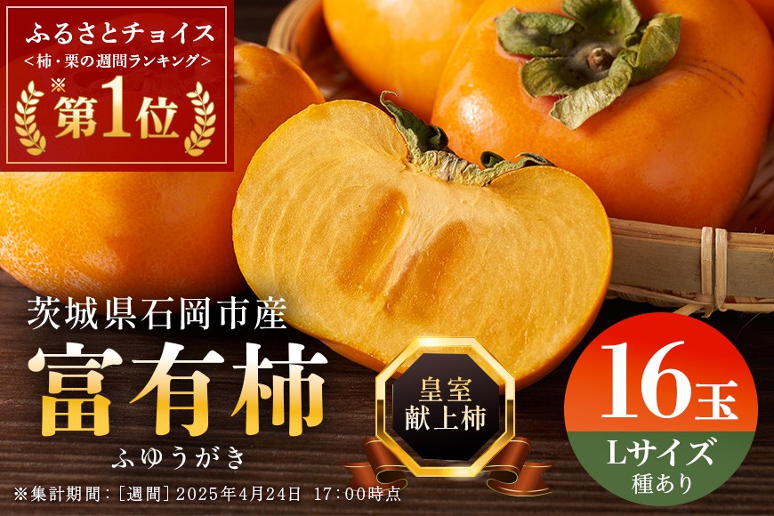 【 2026年 先行予約 】八郷柿出荷組合の 富有柿 L 16玉 柿 皇室献上柿 かき 富有カキ ( 1箱 ) 果物 フルーツ くだもの カキ 富有かき 秋 旬 高級 糖度 贈答用 贈答品 ギフト 贈り物 品種 ブランド 11月 12月 発送 産地直送 農家直送 産直 茨城県 石岡市 (A21-002)