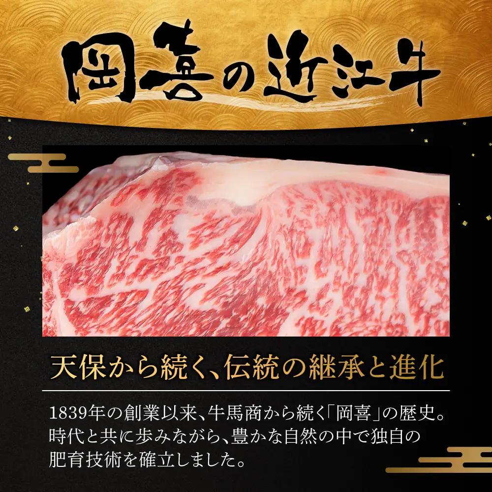 近江牛おかませ焼肉用 390g 株式会社オカキブラザーズフーズ 滋賀県 東近江市 A-E28 近江牛 焼肉 おまかせ 390g A5 A4 モモ バラ 肩ロース 牛肉 和牛 焼き肉