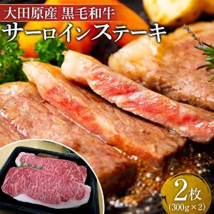 大田原産 黒毛和牛 サーロイン ステーキ　約300g×2枚