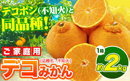 デコポン ( 不知火 )と同品種！デコみかん 熊本県産 (津奈木町産含む) 訳あり 約2kg前後 柑橘《2月中旬-4月末頃出荷》 みかん フルーツ 不知火 先行予約 訳あり 訳アリ ご家庭用 でこみかん 果物 予約受付