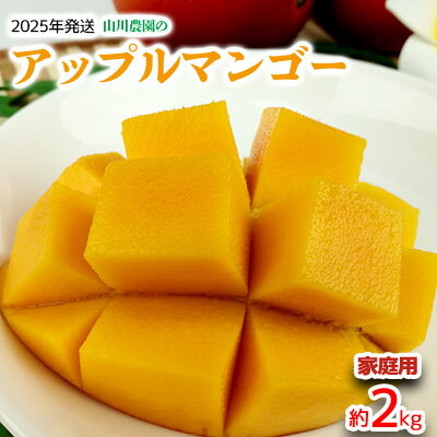 【ふるさと納税】【2025年発送】山川農園のアップルマンゴー家庭用（約2kg） アーウィン 果物 甘い 夏 濃厚 お取り寄せ Mango ランキング 完熟 お気に入り 美味しい 人気 おすすめ フルーツ 沖縄県 南国 食品 デザート 産地直送 送料無料