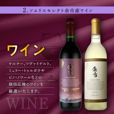 ふるさと納税 余市町 【ギフトボックス】余市産完全無添加干し葡萄と余市産セレクトワインのセット 〜C〜_Y050-0027 |  | 01