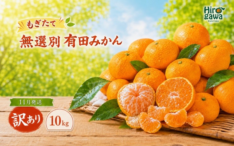 
                  もぎたて 無選別 有田みかん 10kg 訳あり 11月 配送【oda004-c-10-11A】
                