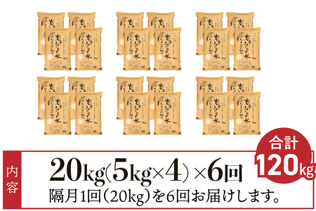 隔月 定期便 20kg(5kg×4袋)×6ヶ月 計120kg 岩手県奥州市産ひとめぼれ「岩手ふるさと米」 【配送時期に関する変更不可】 [U0228]