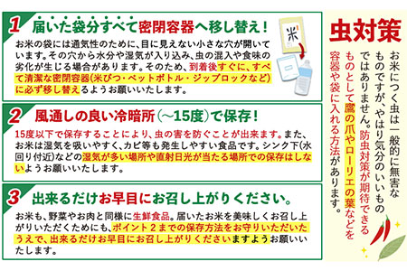 【6ヶ月定期便】令和6年産 新米 定期便 ひのひかり 10kg 《申込み翌月から発送》 ｜人気米 熊本県産米 お米 生活応援米