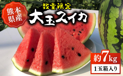 【先行予約】【初夏に実った贈り物】大玉 スイカ 約7kg【なかむら農園】 [ZBH001]