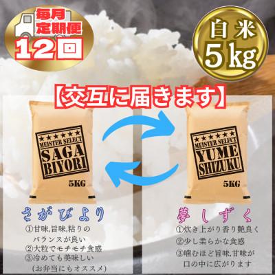 ふるさと納税 江北町 【毎月定期便】食べ比べ白米5kg(さがびより・夢しずく)(江北町)全12回 |  | 01