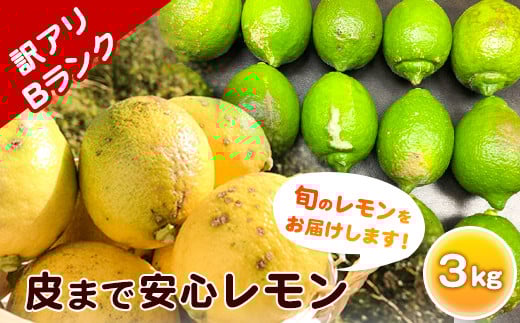 
            【訳ありBランク】皮まで安心レモン 3kg 黒潮フルーツファーム《2025年10月中旬-2026年4月中旬頃出荷》和歌山県 紀の川市 レモン 
          