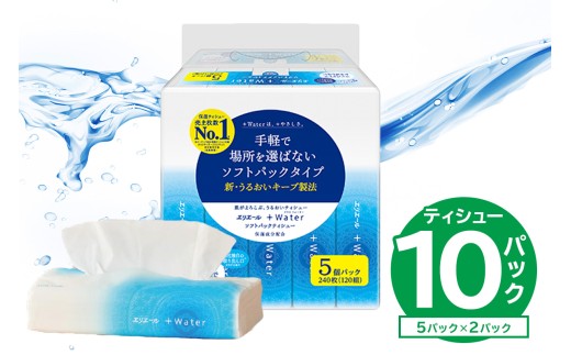 エリエール +Water（プラスウォーター）ソフトパックティシュー　120W5P×1パック 【0095-016-1】