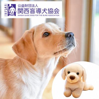 ふるさと納税 亀岡市 盲導犬訓練 支援寄付[盲導犬協会オリジナルグッズ]ぬいぐるみなど4点
