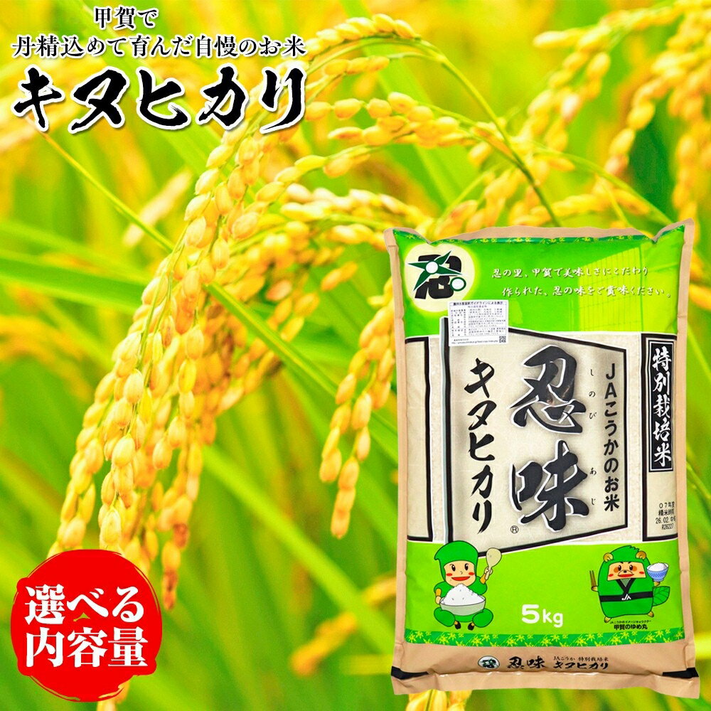 【ふるさと納税】＼選べる内容量／キヌヒカリ 甲賀で丹精込めて育んだ自慢のお米 産地直送 きぬひかり 米