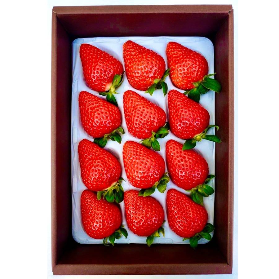 ＜かもめファーム＞「ゆめのか」400g（9～15玉）
