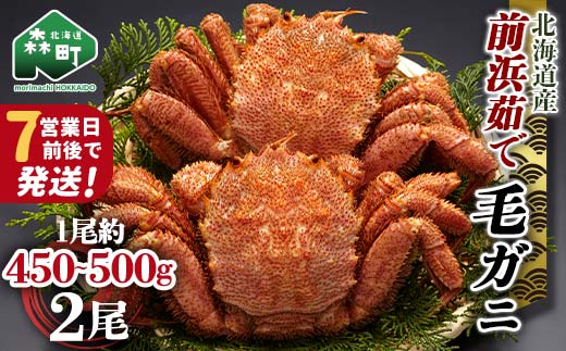 【順次発送】 前浜茹で毛がに 約450～500g×2尾 ＜株式会社 鳥潟＞ かに カニ 蟹 ガニ がに 毛蟹 毛かに 毛ガニ 毛カニ 北海道産 北海道 森町 mr1-0653-1