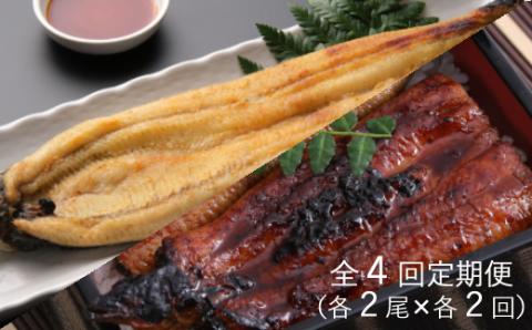蒲焼き・白焼きを交互にお届け！国産うなぎ２尾【全４回定期便】