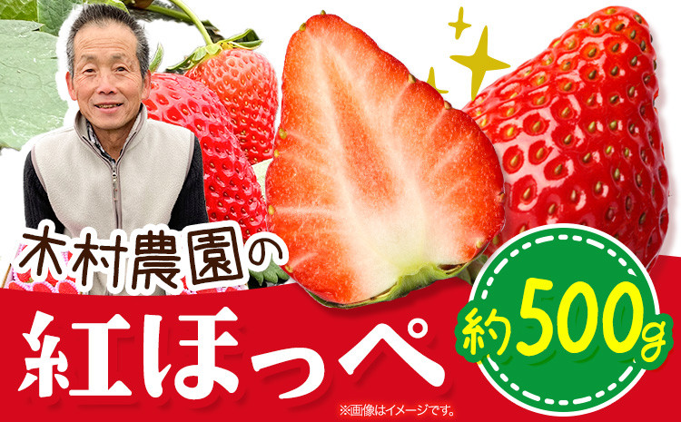 
            粒の大きさにびっくり！ 紅ほっぺ 0.5kg (9~12粒) 木村農園《2026年1月上旬-3月中旬頃出荷》いちご 苺 イチゴ 果物 フルーツ 送料無料 徳島県 上板町 st-p
          