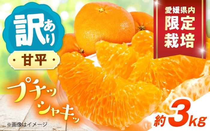 
                  みかん 訳あり 甘平 サイズ不揃い 約3kg【1月上旬から2月下旬まで順次発送】/ フルーツ 果物 蜜柑 ミカン オレンジ 訳あり 訳アリ 小玉 甘い 先行予約 3kg 愛媛 甘平 かんぺい シャキシャキ プチプチ食感 扁平 えひめ農園 旬 お取り寄せ 贈答 フルーツギフト 柑橘詰め合わせ 贈り物 柑橘 プレゼント ギフト 人気 おすすめ / 愛媛県砥部町/えひめ農園組合 [BJAZ005]
                