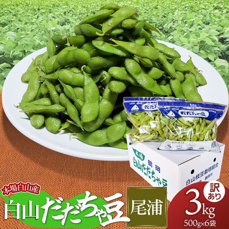【令和7年産先行予約】本場白山産 濃厚だだちゃ豆 尾浦(おうら) 【訳あり】 3kg（500g×6袋）　農家 長四郎