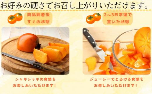 【先行予約】【JAわかやま】2Lサイズ 富有柿 10kg【2025年11月中旬～12月上旬に順次発送致します。】 柿 かき カキ フルーツ 果物 人気 旬【jan004A】