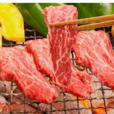 【毎月定期便】肥後の赤牛　焼肉用　500g(熊本県産和牛)(長洲町)全6回