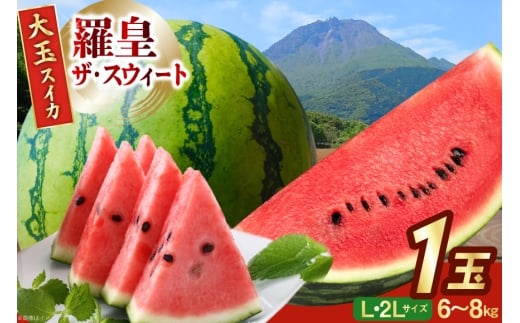 AJ642 【令和8年度出荷分】 島原スイカ倶楽部 大玉スイカ 羅皇ザ・スウィート L・2Lサイズ 6〜8kg [ 先行予約 数量限定 すいか スイカ 西瓜 フルーツ 果物 長崎 長崎県 島原市 ] 