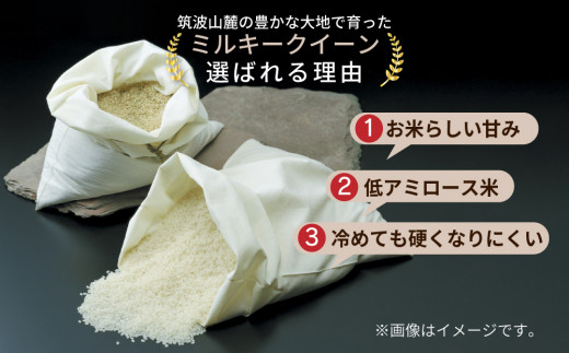 令和4年産｜茨城県産 ミルキークイーン 精米・5kg（5kg×1袋）茨城県産のお米ミルキークイーンは、モチモチした食感が特徴の低アミロース米 ※離島への配送不可