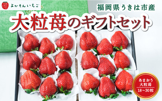  よかもんいちご あまおう大粒苺のギフトセットB 2025年1月上旬から1月31日 出荷予定