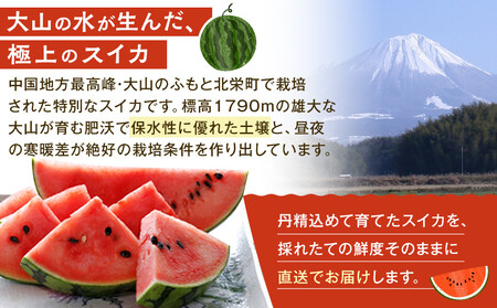 1115.鳥取県産 大玉スイカ 訳あり 1玉 6-9キロ前後L-3L（こちらの返礼品は、大栄西瓜ではありません）