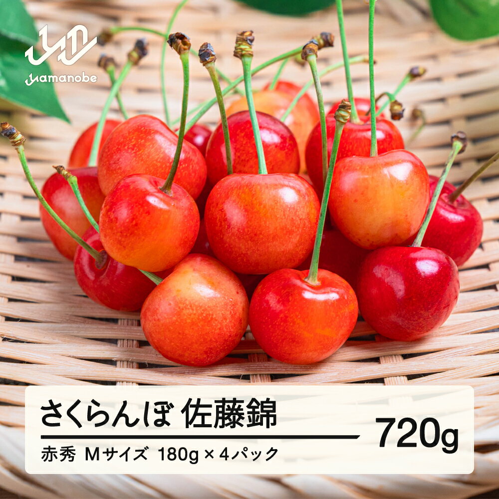 【ふるさと納税】【先行予約】さくらんぼ 佐藤錦 ご家庭用 赤秀品 M玉 180g×4パック 2026年産 令和8年産 山形県産 送料無料 mm-snpmx800