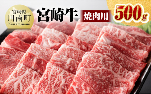 
※令和6年2月より順次発送※宮崎牛 焼肉用 500g 【肉 牛肉 国産 宮崎県産 黒毛和牛 ミヤチク BBQ バーベキュー 送料無料 】
