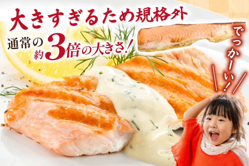 訳あり トロ サーモン 炙り ハラス 総重量900g 3-7枚入 [足利本店 宮城県 気仙沼市 20565098] トロサーモン 大トロハラス あぶりハラス あぶりサーモン サーモンステーキ トロハラ