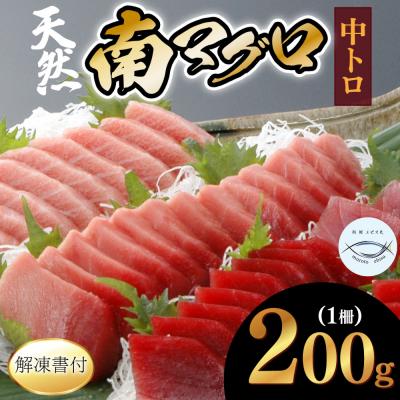 ふるさと納税 室戸市 【中トロ】天然南マグロ　中トロ　1柵　【解凍書付】