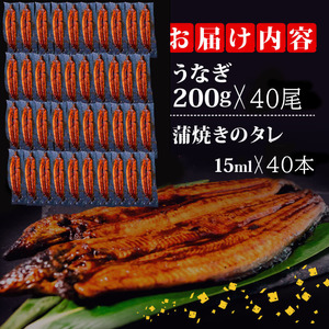 うなぎ 蒲焼き 特大 鰻 200g×40尾 セット蒲焼きのタレ 付き 高知県 須崎市 ( うなぎ 蒲焼き うなぎ 冷凍 うなぎ スタミナ うなぎ 土用の丑の日 うなぎ タレ うなぎ 小分け うなぎ タ