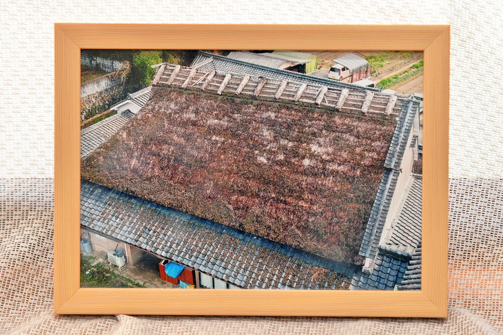
            ドローン空撮でご実家を撮影・プリント【A4サイズ 額付き】（京都府亀岡市内撮影限定）※要事前確認《空撮 実家 風景 思い出 プレゼント 故郷 田舎》◇
※着日指定不可
          