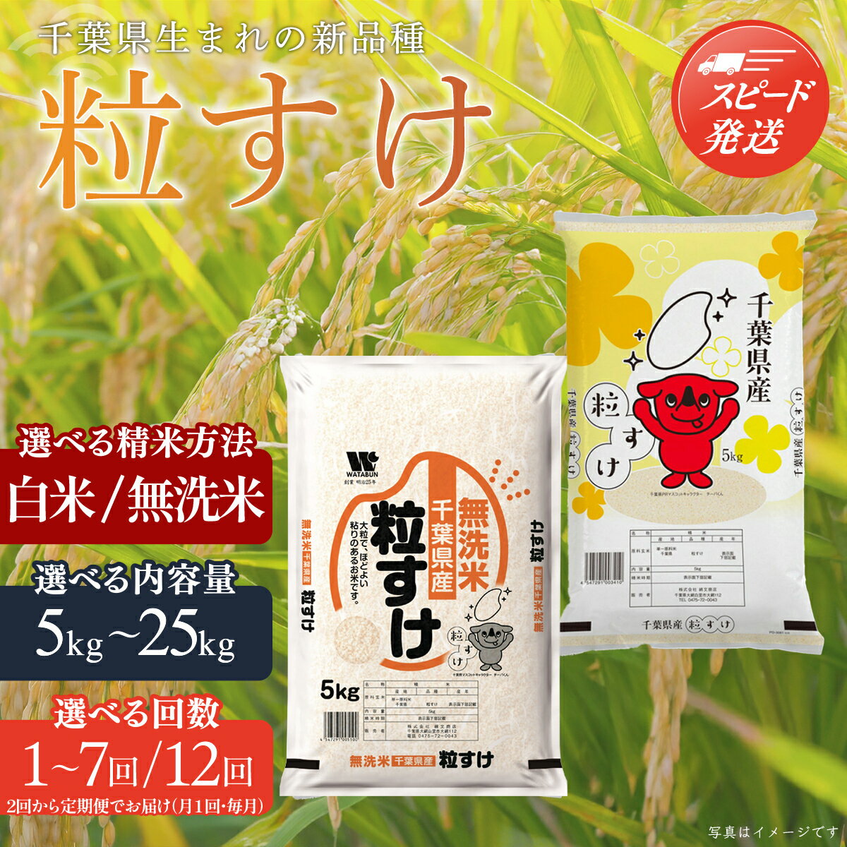 【ふるさと納税】【最短2～7営業日出荷】令和7年産 千葉県産「粒すけ」選べる精米方法・容量・回数（ 白米 無洗米 / 5kg 10kg 15kg 20kg 25kg / 1回 2回 3回 4回 5回 6回 7回 12回 ） お米 千葉県産 大網白里市 粒すけ 米 精米 こめ 白米 ご飯 千葉県産 米