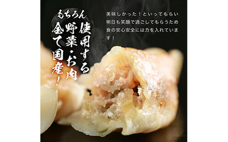 長州黒かしわ餃子 48個入り 手作り 生餃子 餃子 国産野菜 冷凍 化学調味料不使用 化学調味料無添加 らいちの餃子 黒かしわ 長州黒かしわ F6L-951
