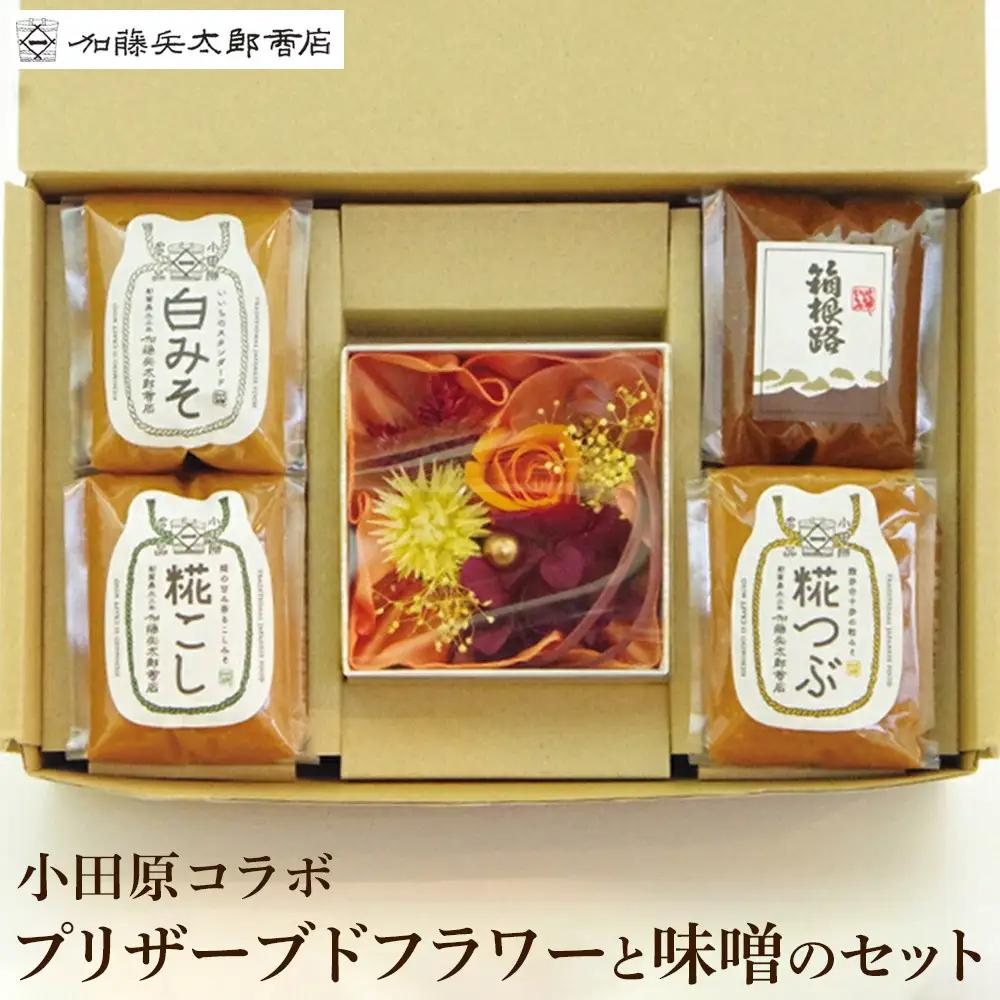 小田原コラボ　プリザーブドフラワーと味噌のセット ｜ みそ 熟成 厳選 贈答品