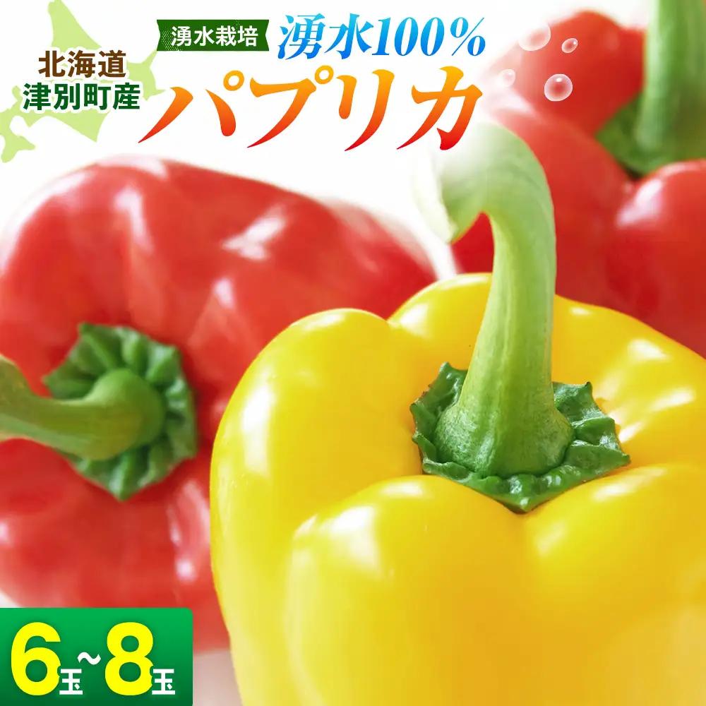 【R8年産】 湧水栽培 ナツやさいのパプリカ 6玉～8玉セット ピンクの八百屋 ナツやさい  | パプリカ 赤 黄 肉厚 サラダ 炒め物 スープ 肉詰め 煮浸し パエリア 旬 産地直送 北海道 津別町 送料無料