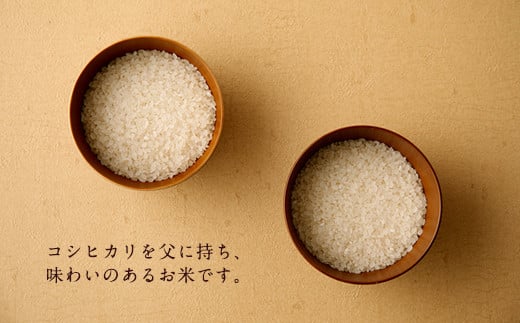 大分県産ヒノヒカリ 10kg 5kg×2