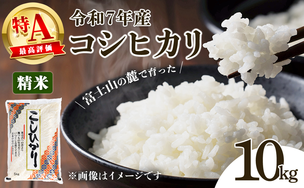 令和7年産 コシヒカリ 【 精米 】 10kg  ｜ 米 お米 令和7年産 厳選 特A コシヒカリ 白米 10kg 静岡県産 国産 すぐ 届く スピード発送