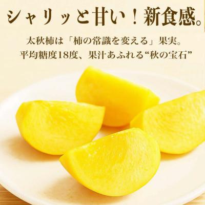 ふるさと納税 八代市 【先行予約】 太秋柿 約2kg(4〜8玉)【2026年10月上旬より順次発送】_232-6030-A |  | 01