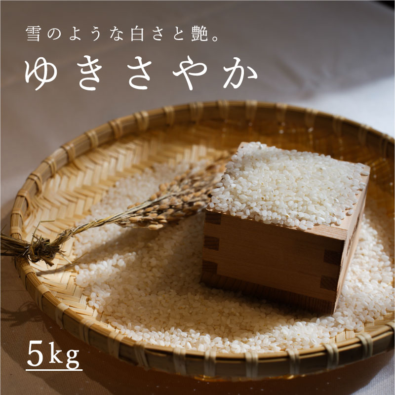 【ふるさと納税】※令和7年産※ ゆきさやか 5kg 定期便アリ 5kg以上 米 当麻町 長谷川農園 北海道 北海道米 送料無料
