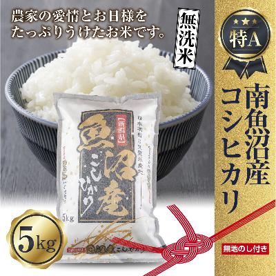 ふるさと納税 南魚沼市 【無地熨斗】無洗米 新潟県南魚沼産コシヒカリ お米 5kg 精米済み(美味しい炊き方ガイド付き)