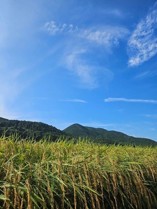 日本一の清流宮川に育まれています
